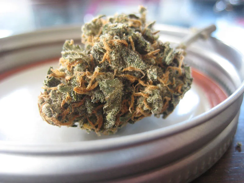 Danky Jones craft cannabis strain
