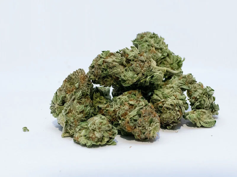 Large Selection of Cannabis Strains — Telluride Green Room