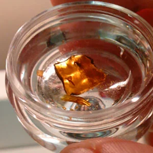 Concentrates at Telluride Green Room